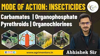 Mode of Action Insecticides  Carbamates  Organophosphate  Pyrethroids  Organochlorines [upl. by Dnaltruoc568]