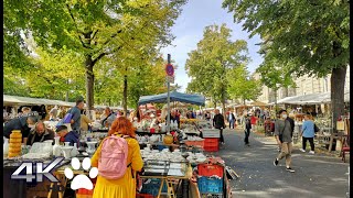 4K  Berlin Tiergarten Market walking tour I Germany [upl. by Cristen499]