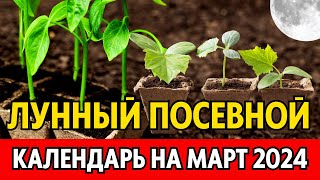 Когда сеять на рассаду в МАРТЕ 2024 Точный лунный посевной календарь на март 2024 по дням [upl. by Evvie]