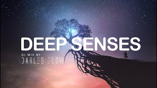 Deep Senses Atmospheric amp Underground Deep House Mix  Darles Flow [upl. by Anirak]