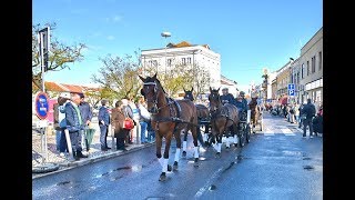 XIX Romaria a Cavalo  Saída da Moita [upl. by Introk]