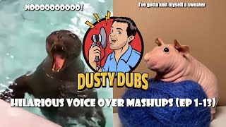 Dusty Dubs Hilarious Voice Over Mashups Ep 113 [upl. by Ylro]