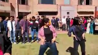 IAS TRAINEES DANCING IN LBSNAA MUSSORIE [upl. by Dnalhsa]