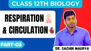 RESPIRATION amp CIRCULATION 03  Heart  Class 12th Biology By Sachin Sir  MEDINEER [upl. by Lenaj]