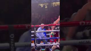 Fury Knockouts Wilder  Fury v Wilder 3 [upl. by Nollahs]