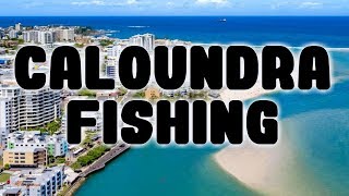 Caloundra Fishing Long Tom Bream and Flathead [upl. by Ramat210]