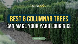 Best 6 Columnar Trees Can Make Your Yard Look Nice 🌲🌳 [upl. by Morrissey]