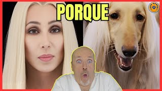 💝 PORQUE LOS PERROS SE PARECEN A SUS DUEÑOS 💝 [upl. by Odravde]