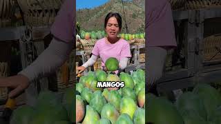 ¡Increíble Mangos Sin Semillas en una Granja Asiática 🥭✨ shorts [upl. by Milson]