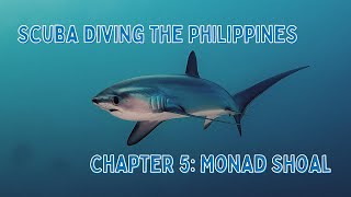 Scuba Diving The Philippines  Thresher Sharks at Monad Shoal malapascua threshershark [upl. by Aicele]