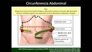 Circunferencia Abdominal y Cadera 📏 [upl. by Yrellav]