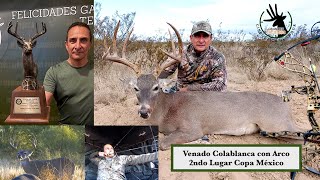 Venado Colablanca Con Arco Copa de Caza en Grandes Trofeos [upl. by Esnofla]