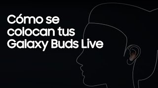 Galaxy Buds  Cómo se colocan tus Galaxy Buds Live [upl. by Aven]