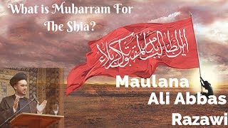 How SHIA people spend 9th10th Muharram 😭Detailed Vlog… [upl. by Idnam687]