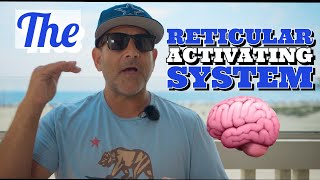 reticular activating system [upl. by Pugh]