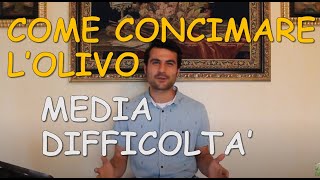 Come Concimare lOlivo  Calendario di Concimazione di Media Difficoltà [upl. by Llerroj]