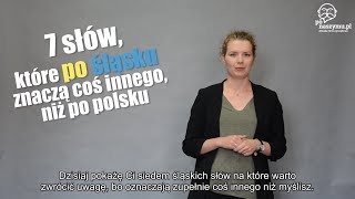 7 Słów Które Po Śląsku Znaczą Coś Innego Niż Po Polsku [upl. by Lenci46]