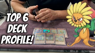 Top 6 QuickDraw dandy deck profile  Edison format edisonformat yugioh yugiohtournament [upl. by Karol600]