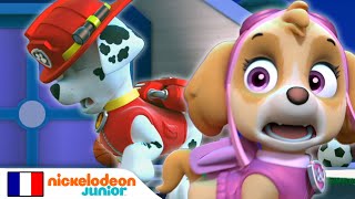 Paw Patrol  La Pat Patrouille  Marcus le somnambule  Nick Jr [upl. by Giffard]