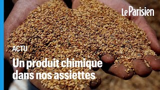 Oxyde d’éthylène  comment ce pesticide cancérigène interdit se retrouve dans nos assiettes [upl. by Mazman]