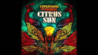 Bluey presents Citrus Sun “Expansions” – Official Audio Trailer [upl. by Ecnedurp]