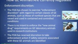 The Science and Regulation of Feed from GE Animals  Part 1 of 2 [upl. by Lytsirk]