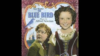 The Blue Bird  Soundtrack Suite Alfred Newman [upl. by Adnilev]