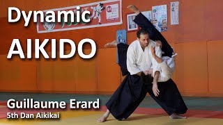 Dynamic Aikido  Guillaume Erard 5th Dan Aikikai [upl. by Joo]