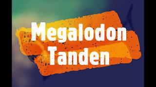 Megalodon tanden [upl. by Wagstaff677]