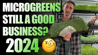 Should You Start A Microgreens Business In 2024 The Truth [upl. by Nage]