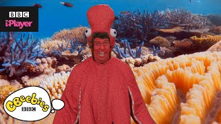 Andys Aquatic Raps  Funky Octopus  CBeebies [upl. by Mcneely]