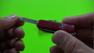 Knife Review Victorinox Cavalier Swiss Army Knife [upl. by Pack]