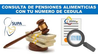 Consulte el valor de pensiones alimenticias 2024 SUPA [upl. by Nnyleitak703]