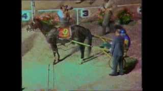 1983 Interdominions  Pacers 1st Heat Alexandra Park Auckland Wondais Mate [upl. by Alister]