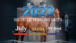 Stand Out at FasigTipton Selected Yearlings Sales 2023 [upl. by Adina]