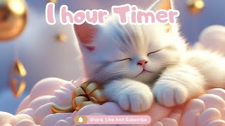 1 Hour Countdown Timer for Kids with Relaxing Sleep Music ClassroomSleeping time Play time [upl. by Neras]