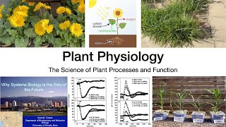 Plant Physiology L1 Introduction [upl. by Yentruok]