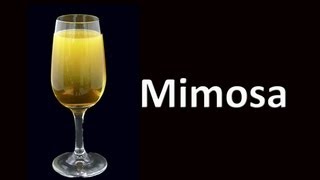 Mimosa Cocktail Drink Recipe HD [upl. by Paz393]