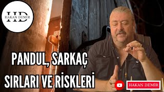 PANDUL  SARKAÇ SIRLARI ve RİSKLERİ [upl. by Odlauso]