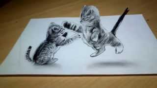 Cute Cat Drawing 3D Anamorphic illusion [upl. by Wallas]