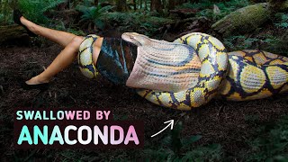 Being Swallowed by an Anaconda [upl. by Browne]