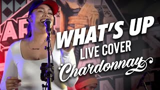 Chardonnay  Whats Up Live Cover [upl. by Alliuqal]