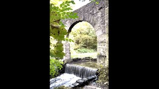 Worden Park Leyland  A Beautiful Park in Lancashire [upl. by Anahsor]