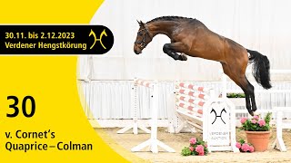 Verden Stallion Licensing 2023  Jumping  Dec 12 No 30 Stallion by Cornets Quaprice  Colman [upl. by Niahs]