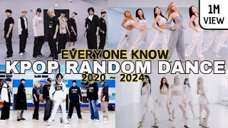 EVERYONE KNOW KPOP RANDOM DANCE MIRRORED  2020  2024 [upl. by Emirej]