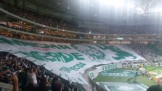 allianz parque hino do palmeiras torcida que canta e vibra  William Eickler [upl. by Limbert769]