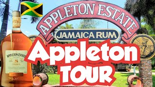 Appleton Estates  Jamaica Rum Tour jamaica viator excursions wlnlw [upl. by Anitsrihc899]