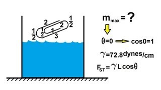 Physics 331 Surface Tension 4 of 12 The quotFloatingquot PaperClip [upl. by Leverick]