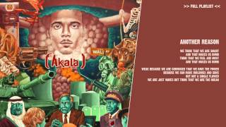 Akala  Another Reason   lyric video [upl. by Romelle914]