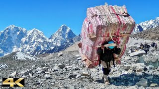 Sherpas  Porter Kings in the Khumbu Highlands amp Solukhumbu  Himalaya Nepal 🇳🇵 [upl. by Carolynne119]